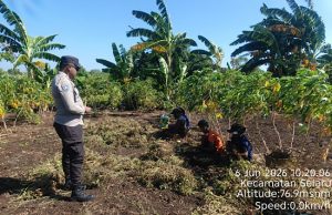 Sinergi Kamtibmas, Bhabinkamtibmas Eliasa sambangi Petani saat panen kacang