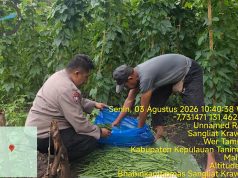 Ajak Warga jaga Kamtibmas dan Ketahanan Pangan, Bhabinkamtibmas Sangliat Krawain sambangi Petani sayur